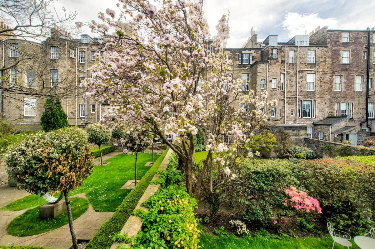 Image 6 of Sophisticated 3BR with Garden, quiet New Town Lane