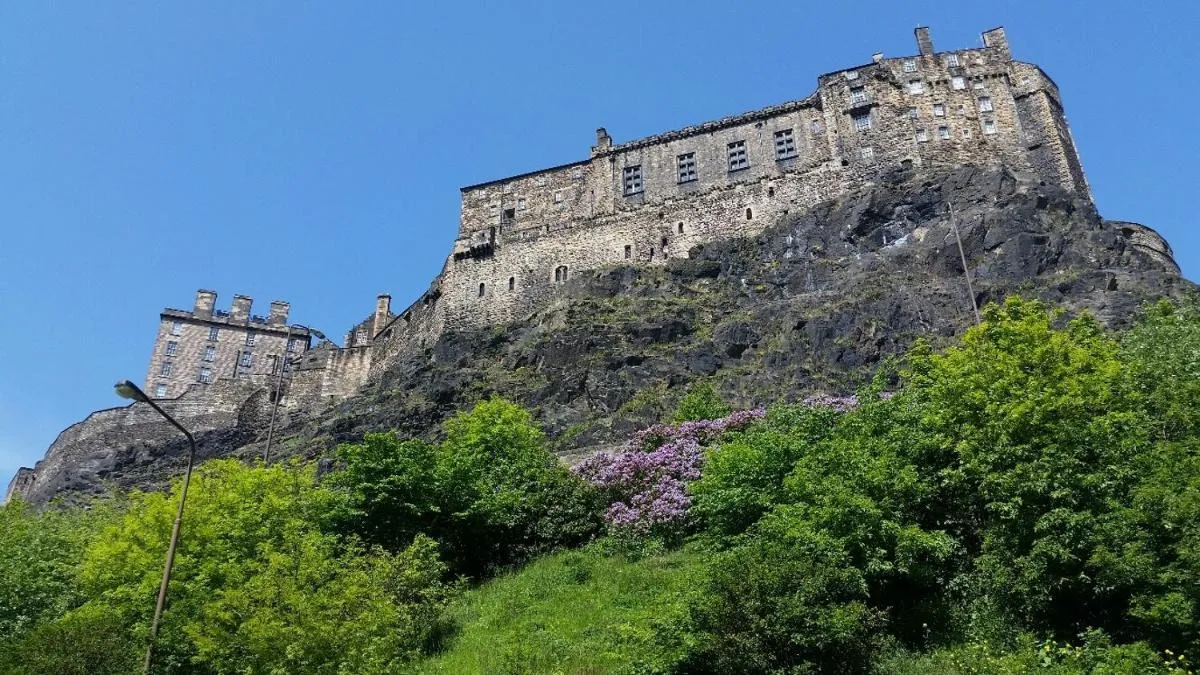 Image of The Wee Thistle