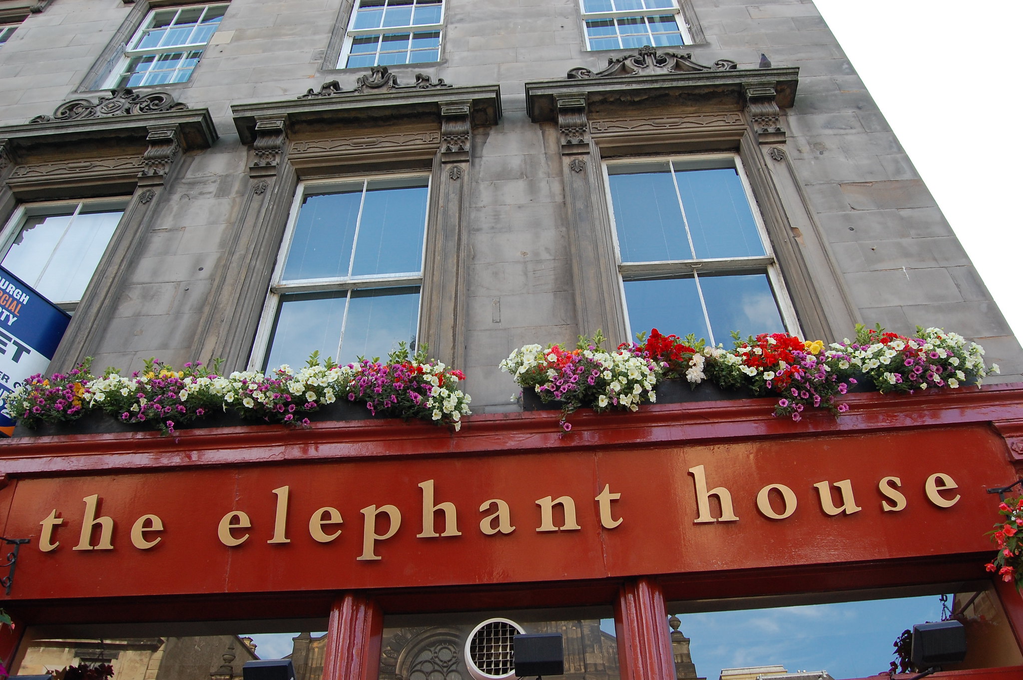 The Elephant House