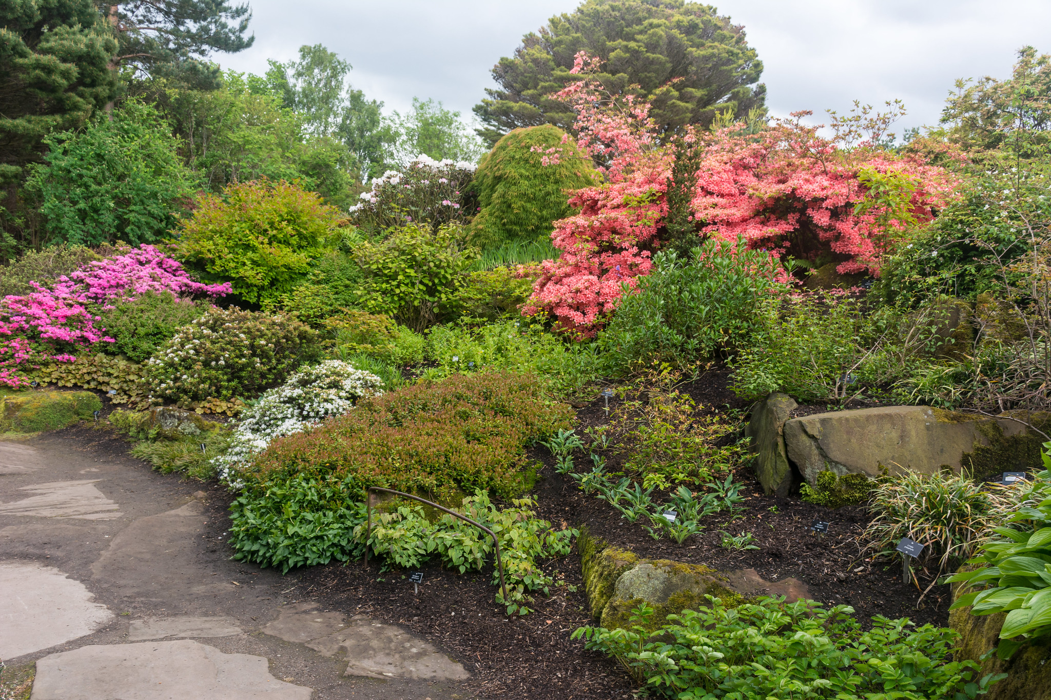 The Royal Botanic Garden
